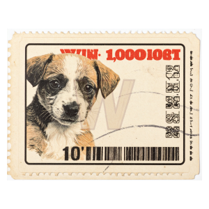 Ticket #0000020