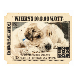 Ticket #0000008