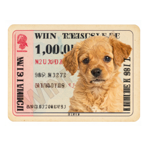 Ticket #0000009
